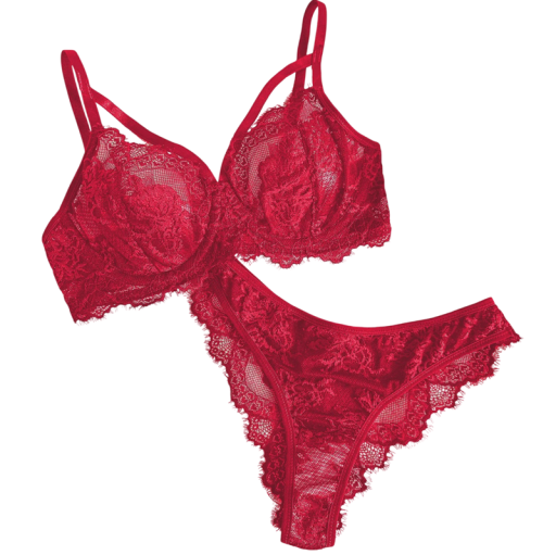 Damenunterwäsche-Set aus Spitze mit feinen Details BH Slip Polyester Elasthan für den täglichen Gebrauch