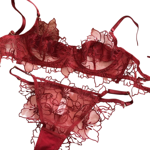 Dames kanten set van lingerie met borduursel bh en slip polyester elastaan voor dagelijks gebruik