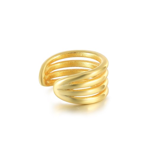 Dames oorbel H704
