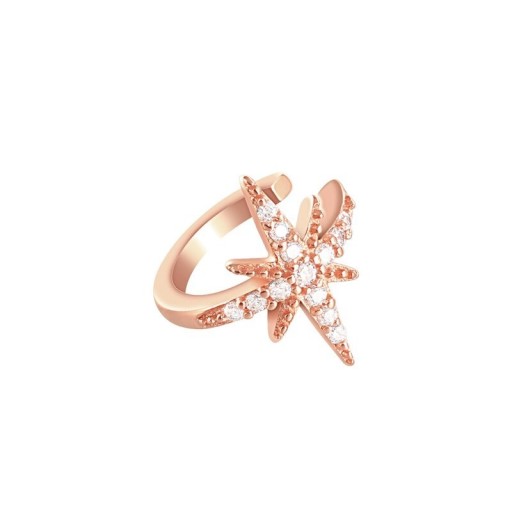 Dames oorbel H704
