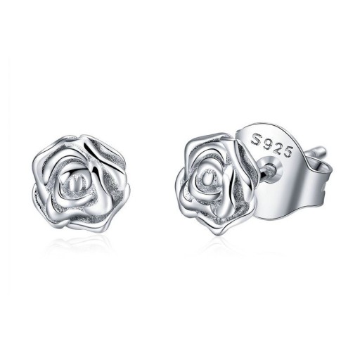Dames oorbellen G671