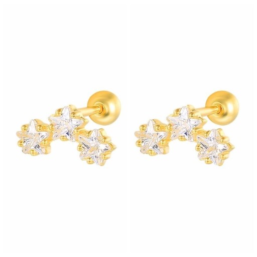 Dames oorbellen H702