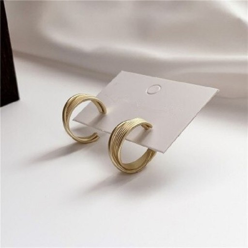 Dames oorbellen H728
