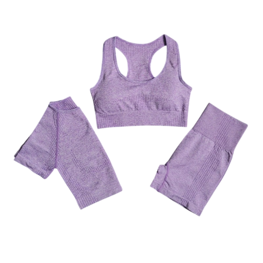 Dames sportoutfit Korte broek sportbh en T-shirt met korte mouwen Effen fitnessoutfit van nylon