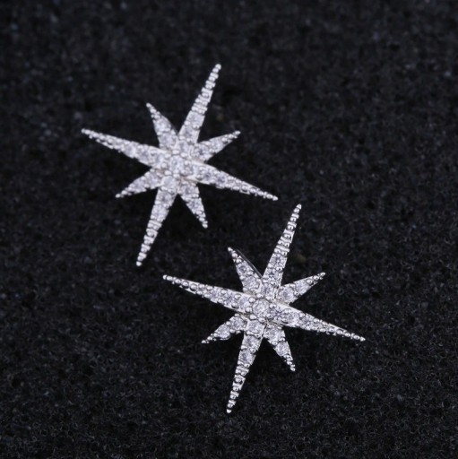 Dames ster oorbellen C1091
