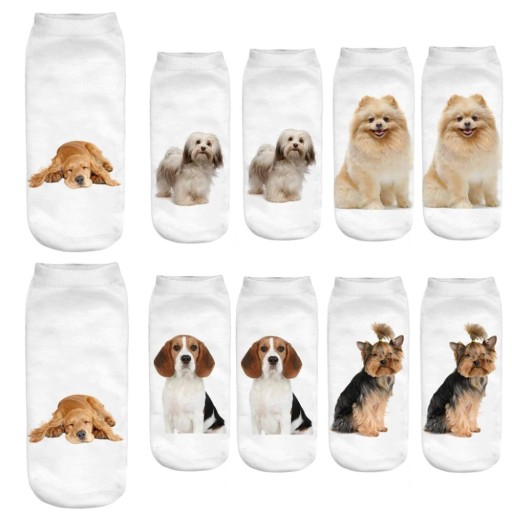 Damesokker med hundeprint