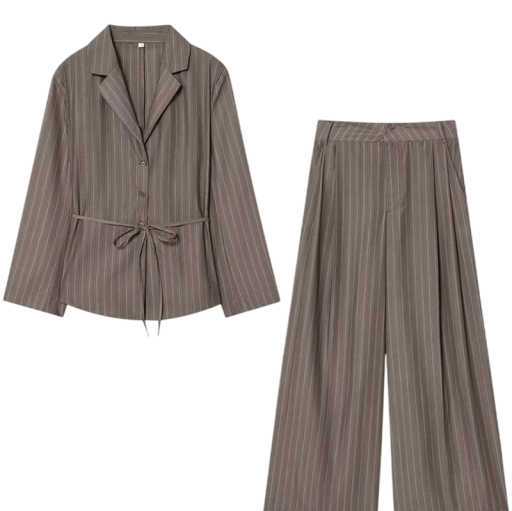 Dámsky set sako a nohavice Dvoudílny komplet Proužkovaný vzor Klopový límec Pás v páse Široké nohavice Polyester Hnedosivá Na bežné nosenie