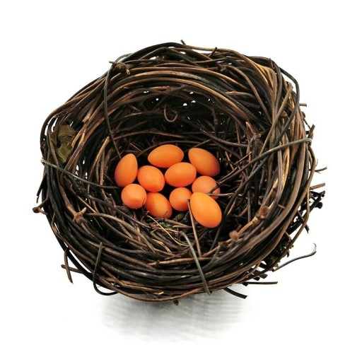 Decoratief nest met eieren