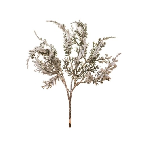 Decoratieve conifeer tak