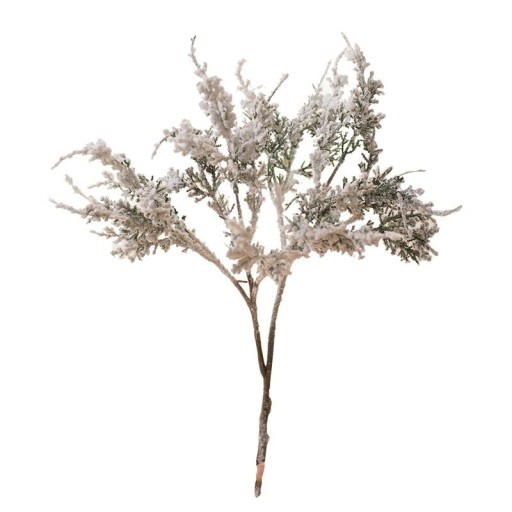 Decoratieve conifeer tak