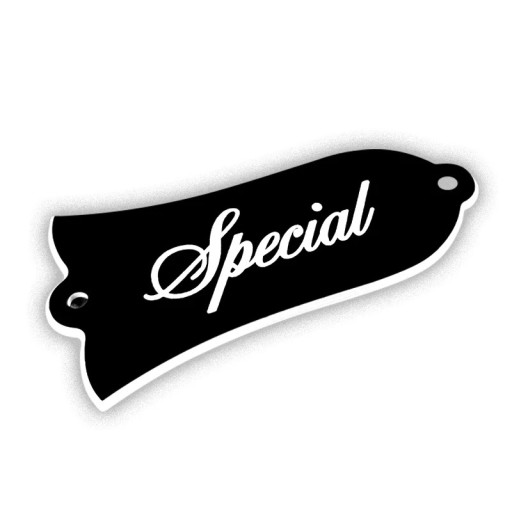 Decoratieve hoes voor elektrische gitaar Gibson Klokvorm met de tekst Special Stijlvolle accessoire voor klassieke modellen Vintage gitaaraccessoires