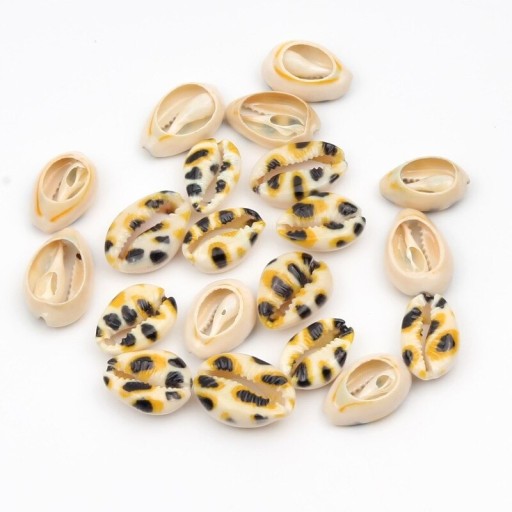 Decoratieve schelpen met ornamenten 10 stuks C519