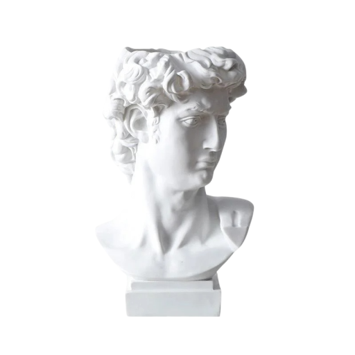 Decoratieve vaasbuste David 16 cm Harsbeeldje Witte matte afwerking Artistieke sculptuur Interieurdecoratie Bloempot voor gedroogde bloemen