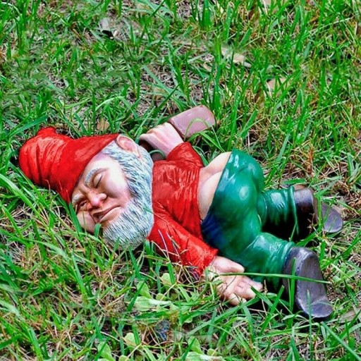Décoration de jardin gnome H1008