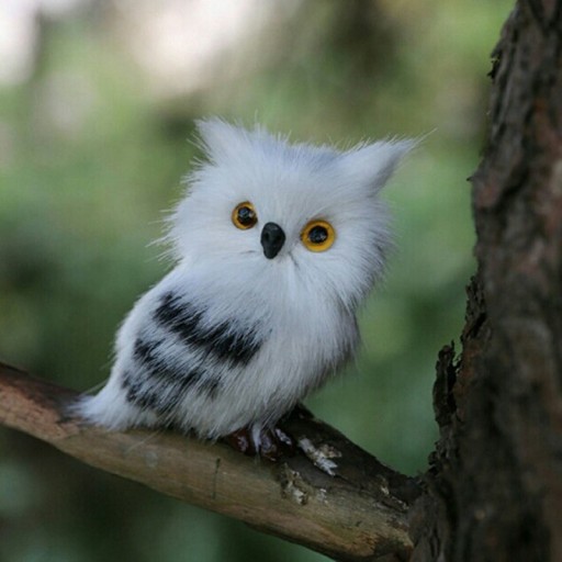 Décoration hibou