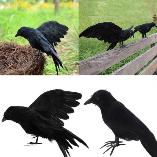 dekorácie vrana