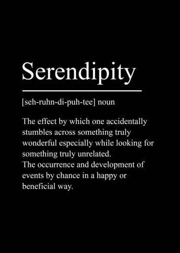 Dekorationsplakat til væggen Serendipity med definition 20 x 30 cm lærredstryk sort-hvid minimalistisk uden ramme boligindretning