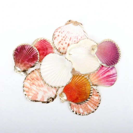 Dekoratív aranyozott kagyló 5 db