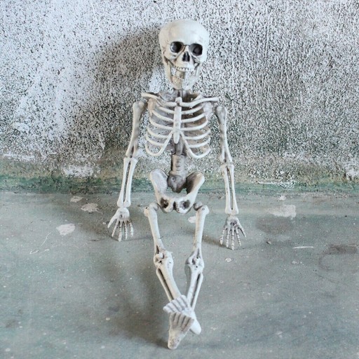 Dekoratív csontváz