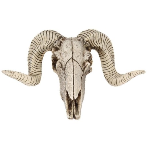 Dekoratívne kozie lebka
