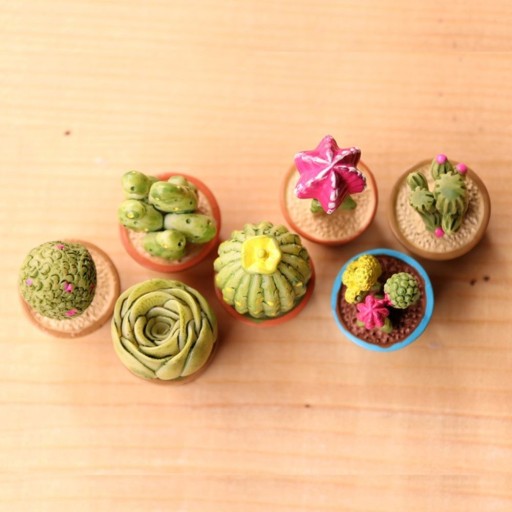 Dekoratívne miniatúra kaktusu