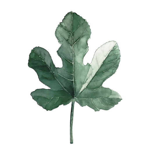 Dekorativní nástěnný plakát s fíkovým listem 25 × 35 cm tisk na plátno zelený botanický motiv dekorace do interiéru bez rámu