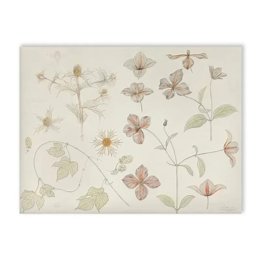 Dekorativní plakát na zeď s botanickým motivem květin 30 x 40 cm plátěný tisk béžovo-zelené jemné odstíny bez rámu do dětského pokoje