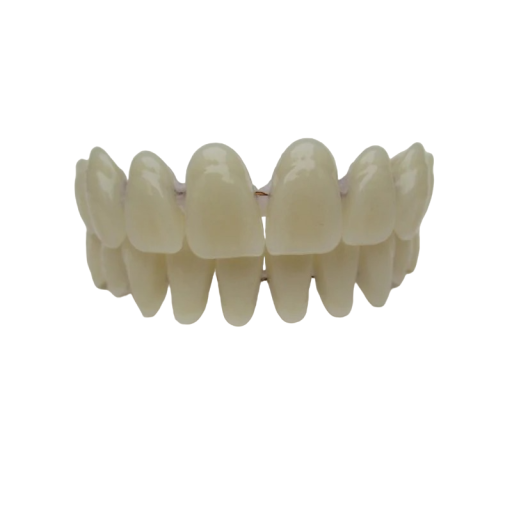 Dental Prosthesis