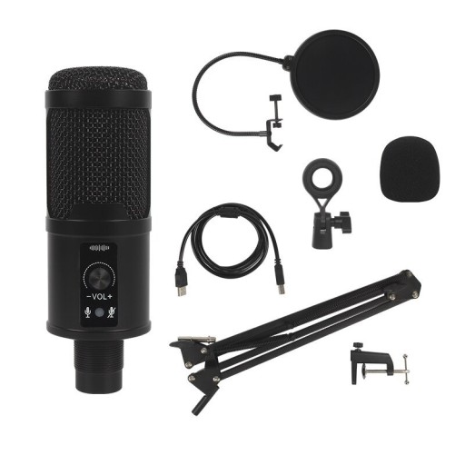 Desktop Microphone with Accessories K1499