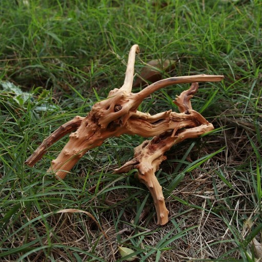 Διακοσμητική ενυδρειακή ρίζα