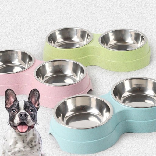 Double bol pour chiens et chats