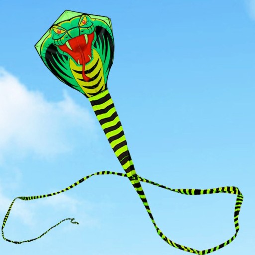Dragon volant en forme de serpent