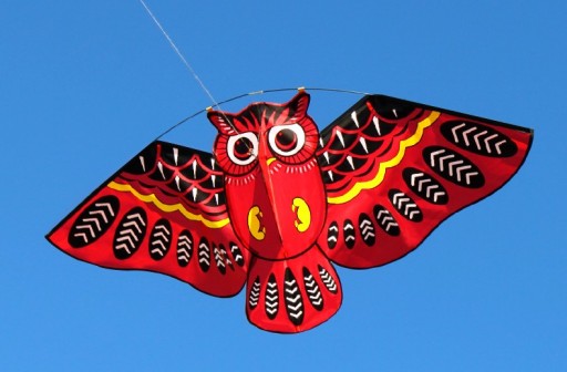 Dragon zburător - bufniță 110 cm în mai multe culori