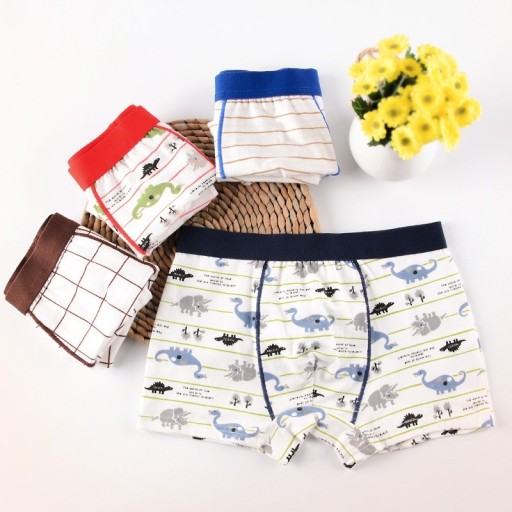 Drenge boxershorts med dinosaurer