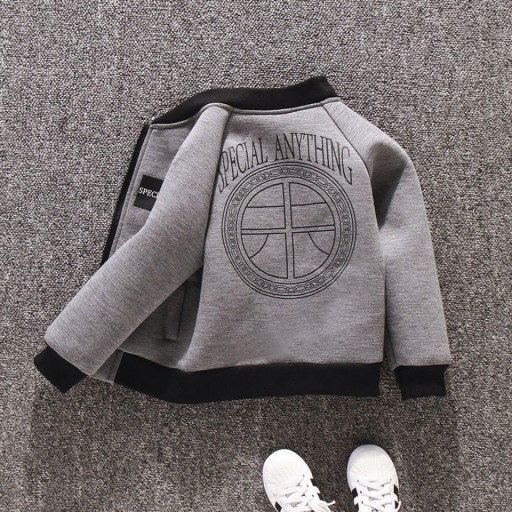 Drengesweatshirt L2082