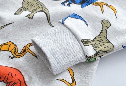 Drengesweatshirt med dinosaurer