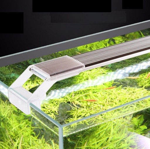Éclairage LED pour aquarium