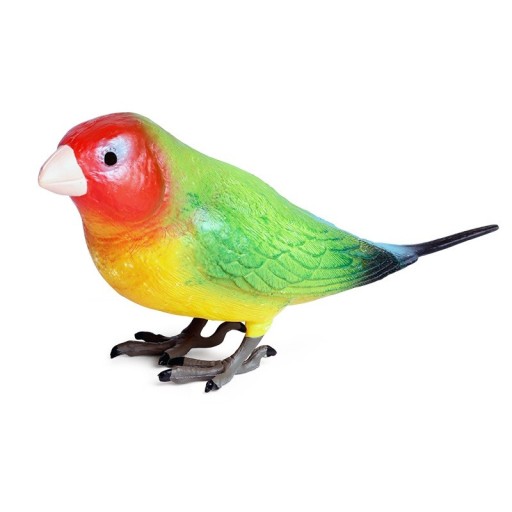 Egy színes papagáj Agapornis Fischer figura