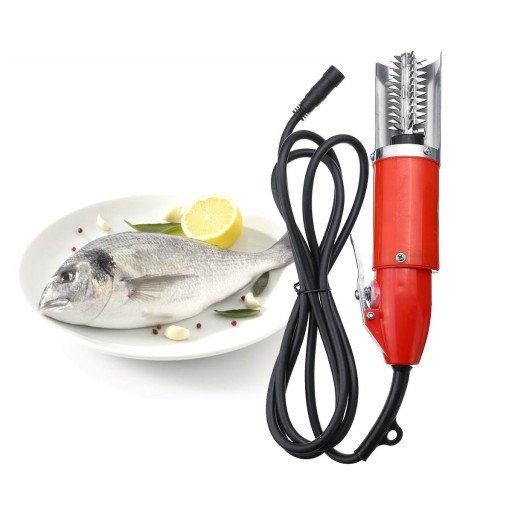 Electric Fish Scraper C411
