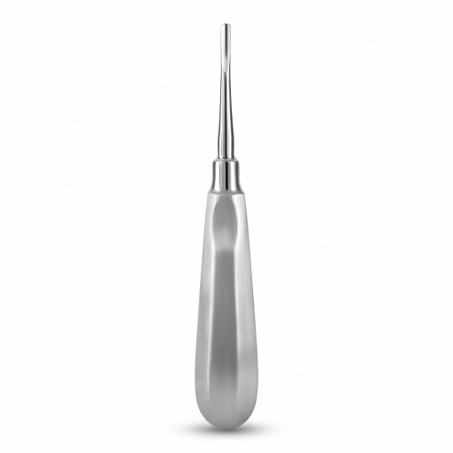 Élévateur dentaire – levier d'extraction à pointe droite 2,5 mm, acier inoxydable, argenté, instrument dentaire chirurgical pour l'extraction des dents