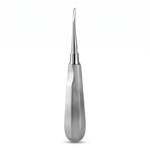 Élévateur dentaire (levier d'extraction) avec pointe courbée de 3 mm en acier inoxydable, argenté, instrument chirurgical dentaire pour l'extraction des dents