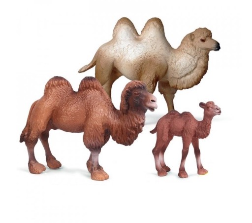 Ensemble d'animaux famille de chameaux