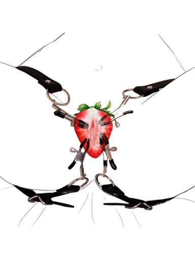 Ensemble de 2 sangles réglables et 4 pinces métalliques pour les jeux BDSM, fixation combinable, emballage discret