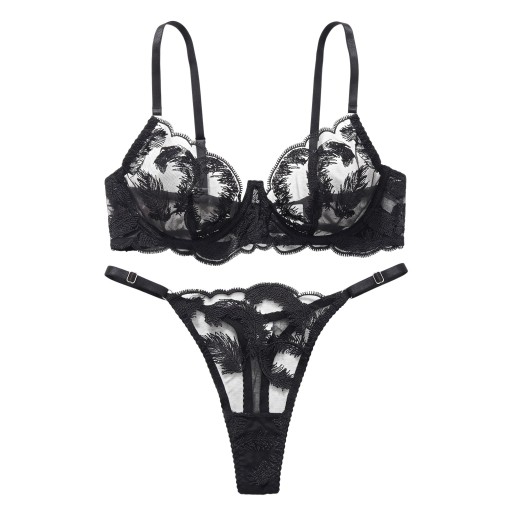 Ensemble de lingerie noire pour femme, soutien-gorge semi-transparent avec armatures et motif brodé de plumes et string avec bretelles réglables