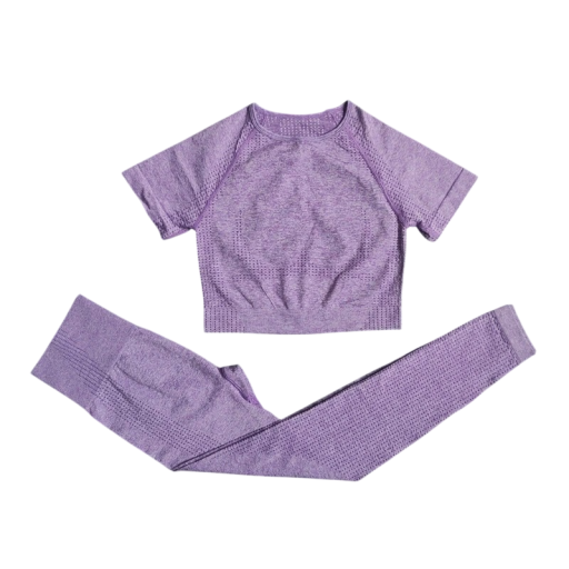 Ensemble de sport pour femmes Leggings et t-shirt à manches courtes Ensemble de fitness uni en nylon, polyester et spandex