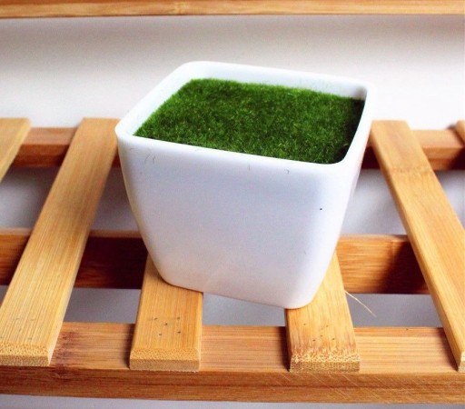 Erba artificiale in vaso