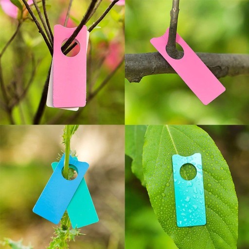 Étiquettes pour plantes 100 pcs