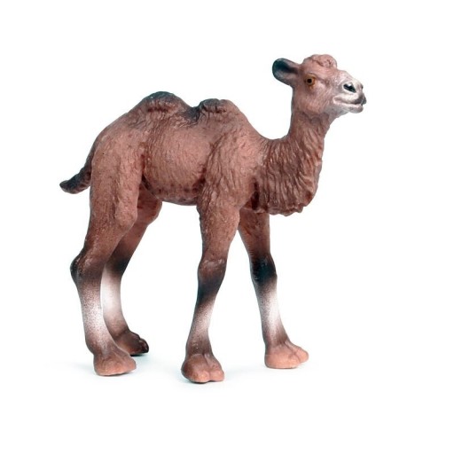 Figurinha de camelo