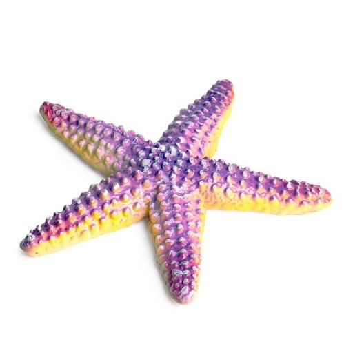 Figurinha de estrela do mar