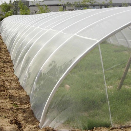 Filet de jardin anti-oiseaux